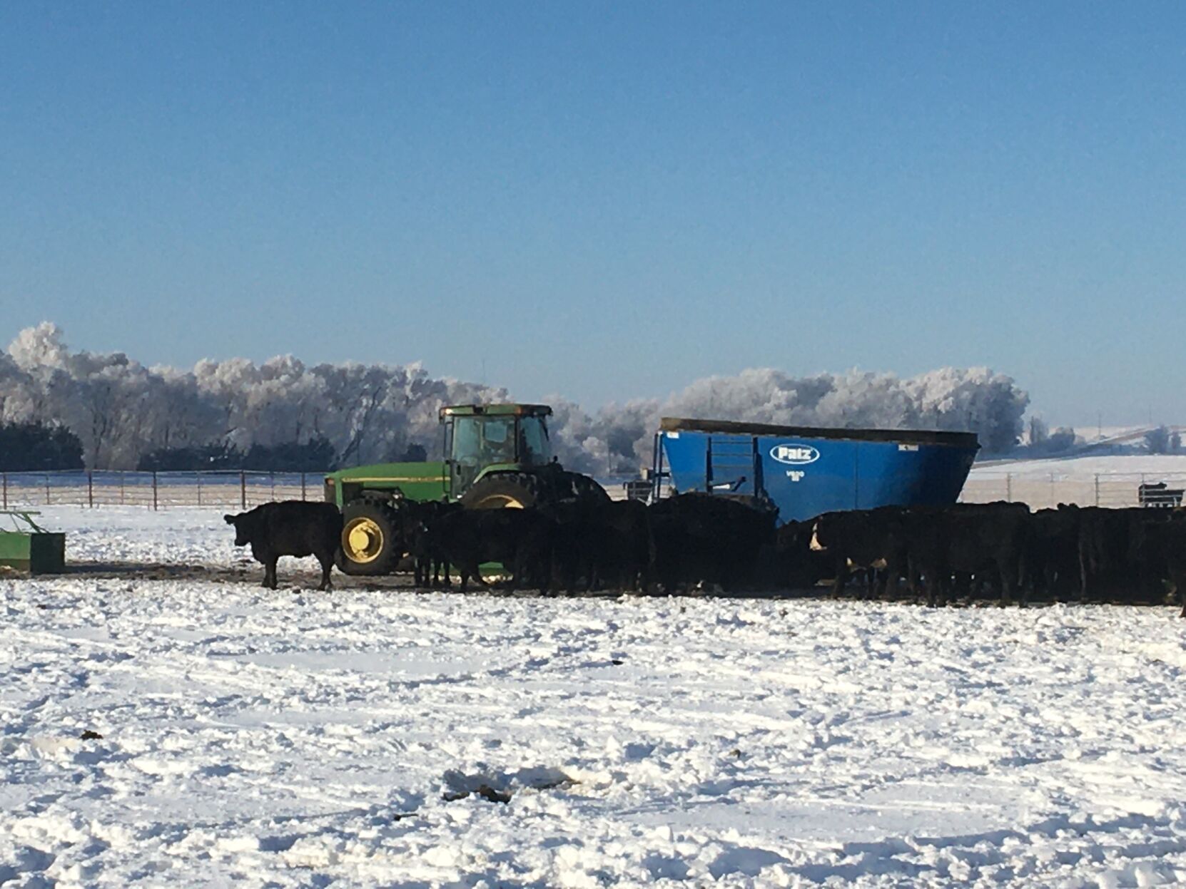 Winter feeding
